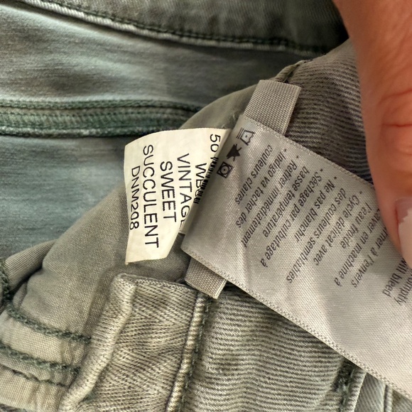 Paige denim Anessa in succulent - Picture 5 of 6